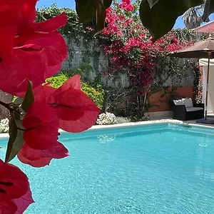 Appartement With Private Swimming Pool And Garden, Cascais